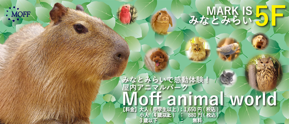 Moff animal world NEW OPEN!