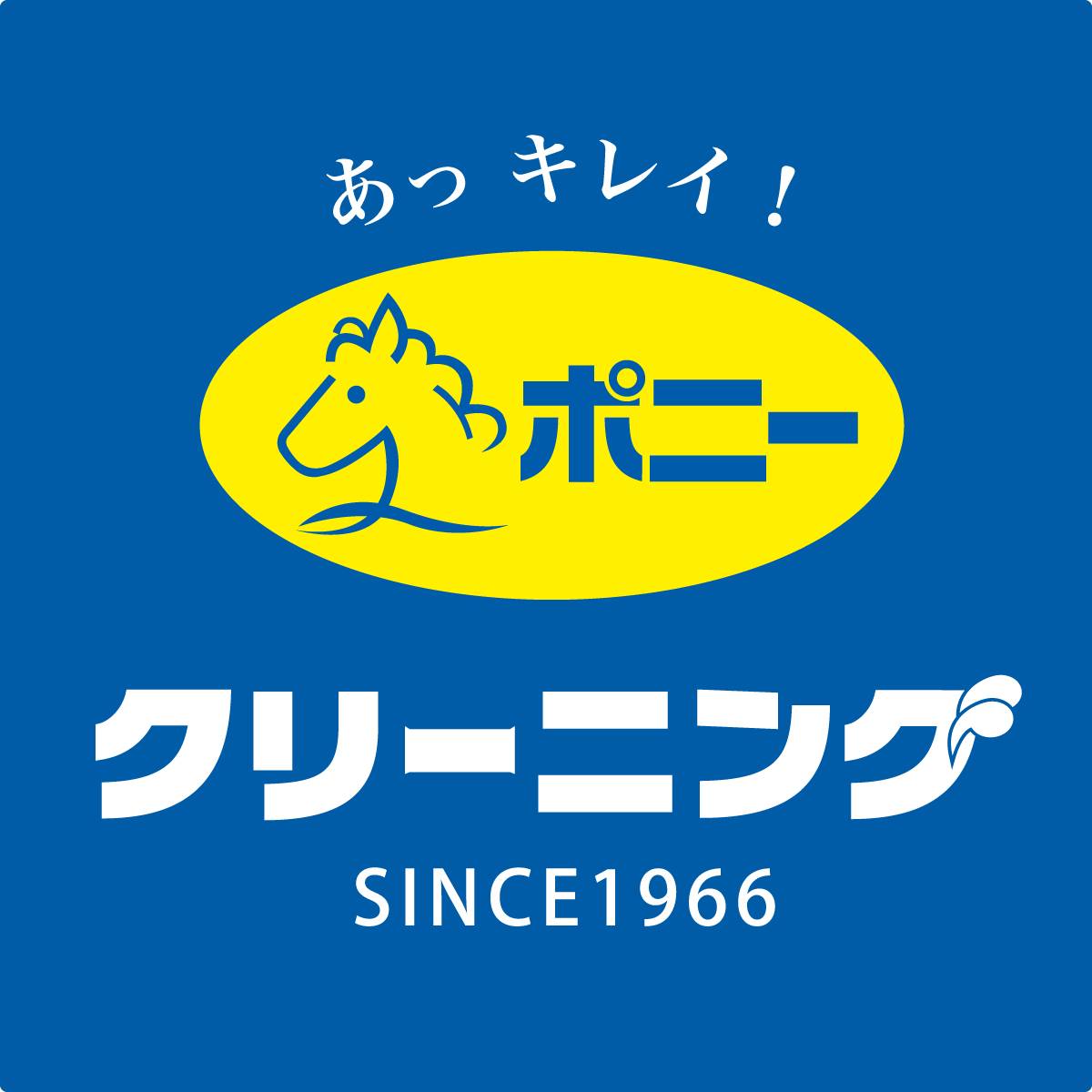 ポニークリーニング