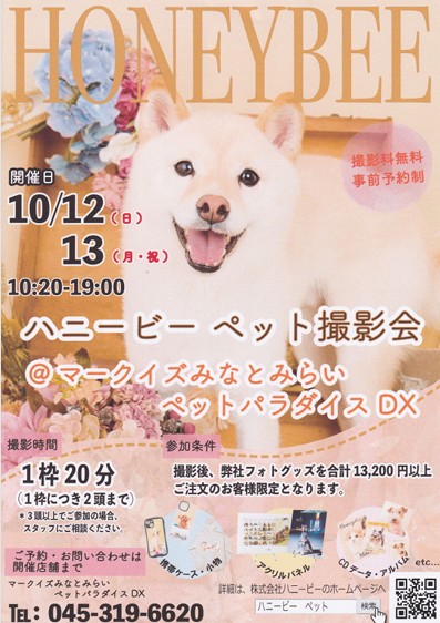 イメージ画像