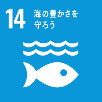 14）海の豊かさを守ろう