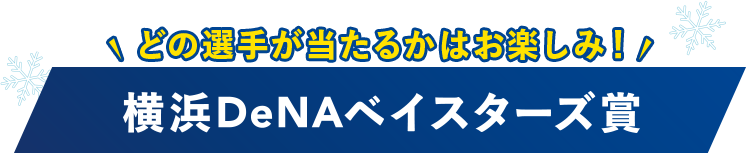 どの選手が当たるかはお楽しみ！横浜DeNAベイスターズ賞