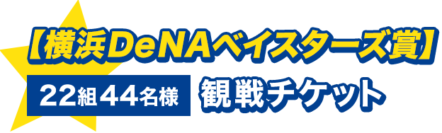 横浜DeNAベイスターズ賞 22組44名様 観戦チケット