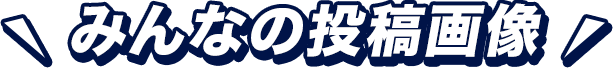 みんなの投稿画像